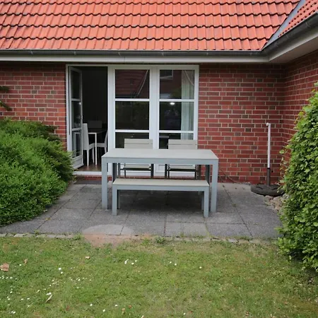 Rh Strandflieder Nyaraló Böhl